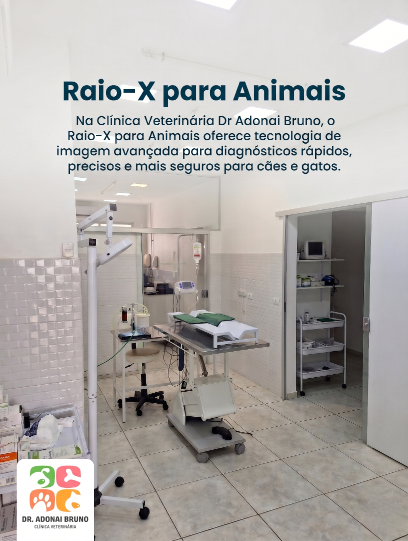 Raio-X para Animais
